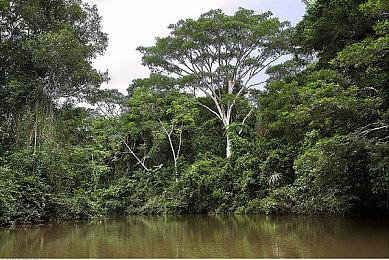 id Software正开发一个未公布的FPS游戏